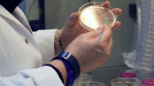 residuo fisso e conducibilità elettrica