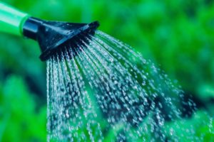 acqua per orti e giardini