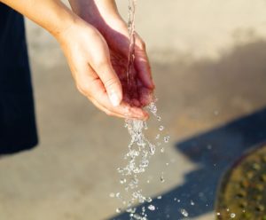 percentuale acqua corpo umano